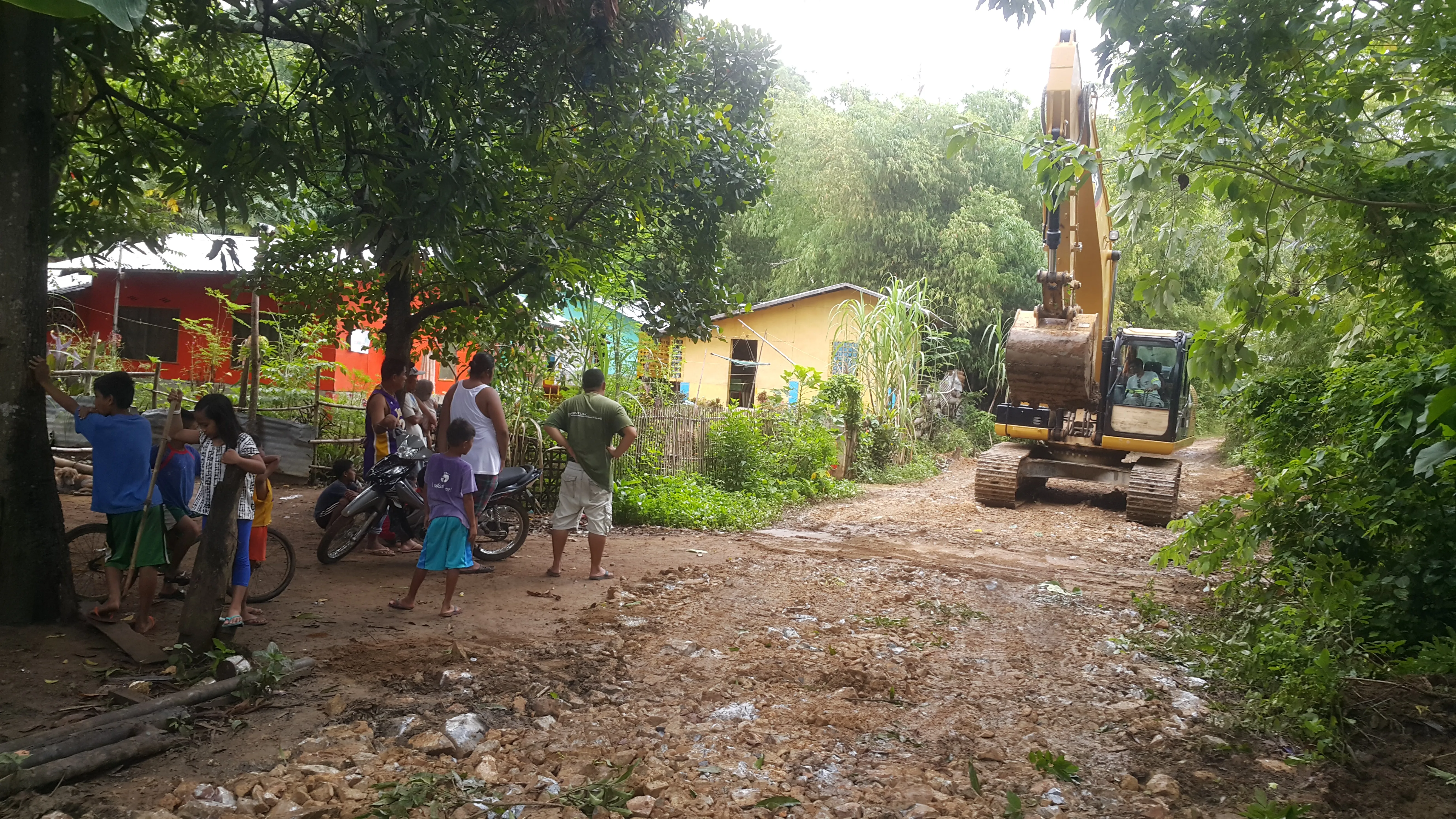 Community access road