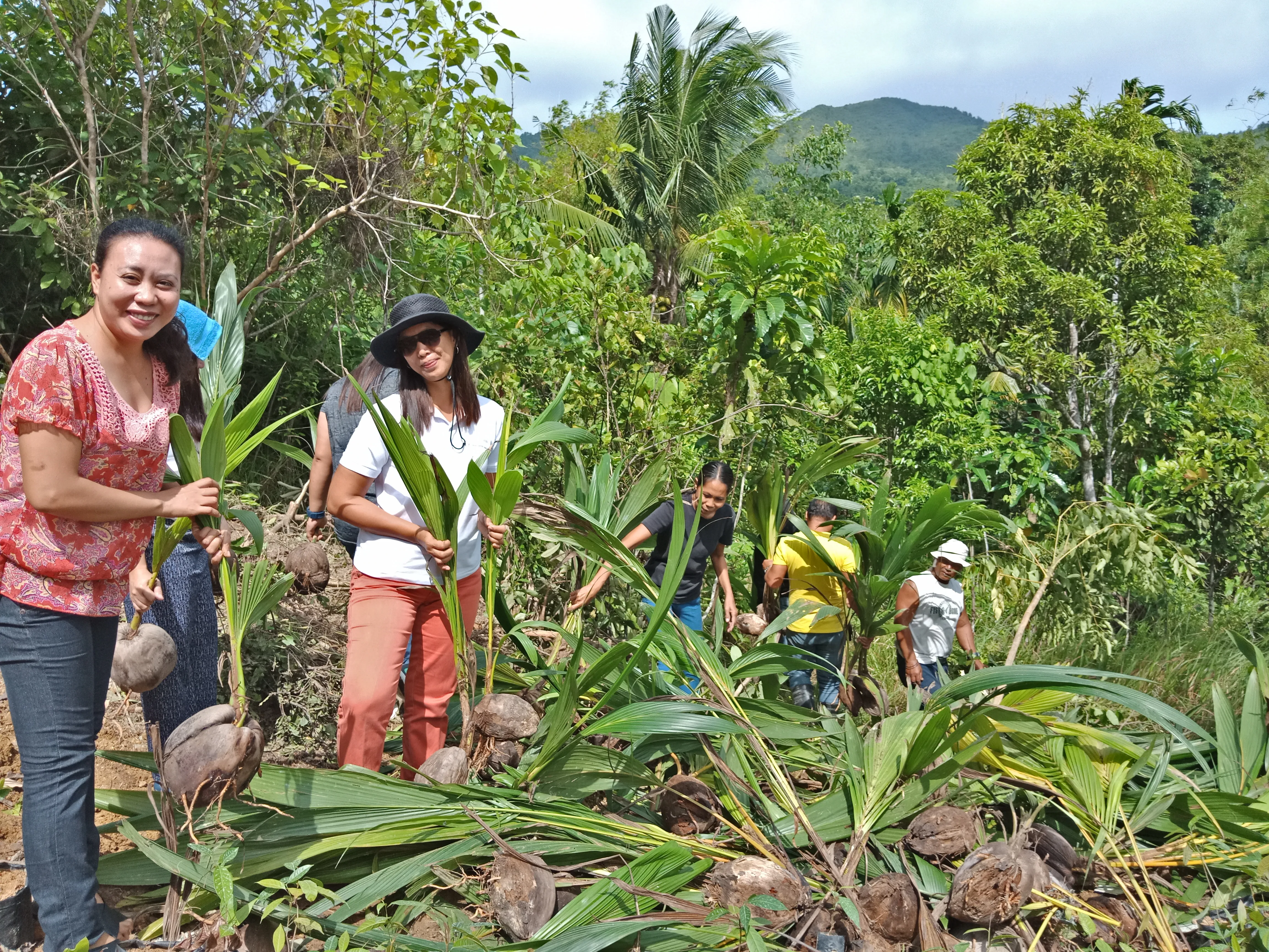 Tree planting program